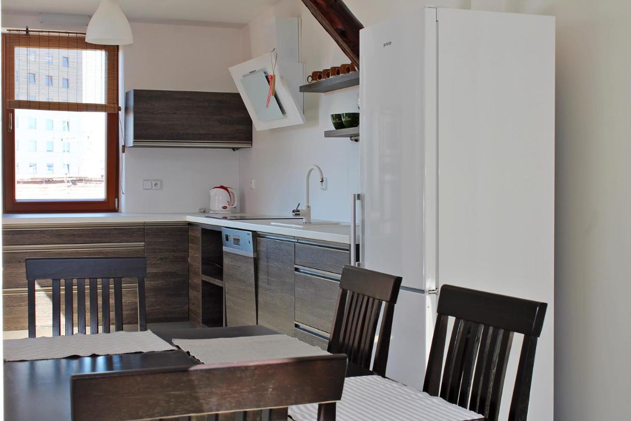 Attic With Parking, Near The Center Of Cb - 110M2 Lejlighed Ceske Budejovice Eksteriør billede