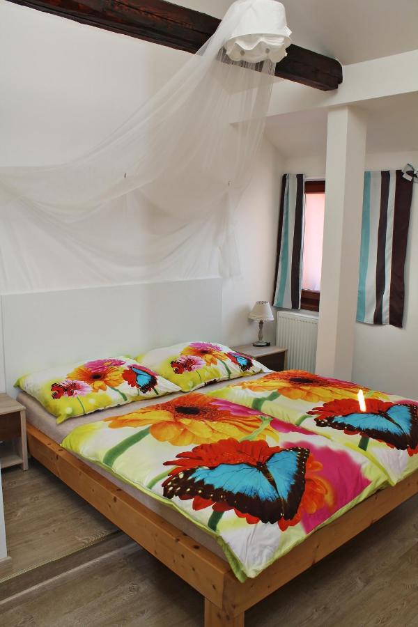 Attic With Parking, Near The Center Of Cb - 110M2 Lejlighed Ceske Budejovice Eksteriør billede