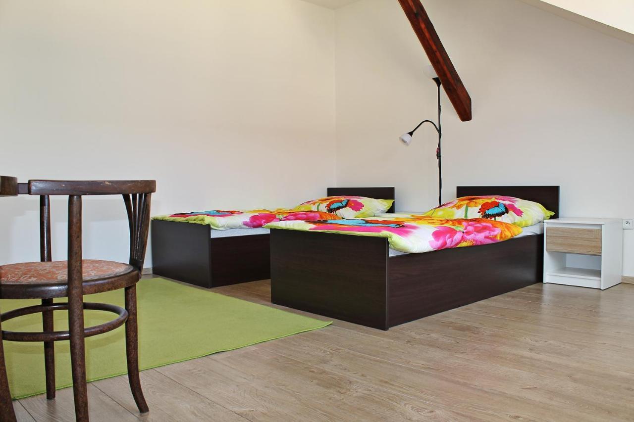 Attic With Parking, Near The Center Of Cb - 110M2 Lejlighed Ceske Budejovice Eksteriør billede